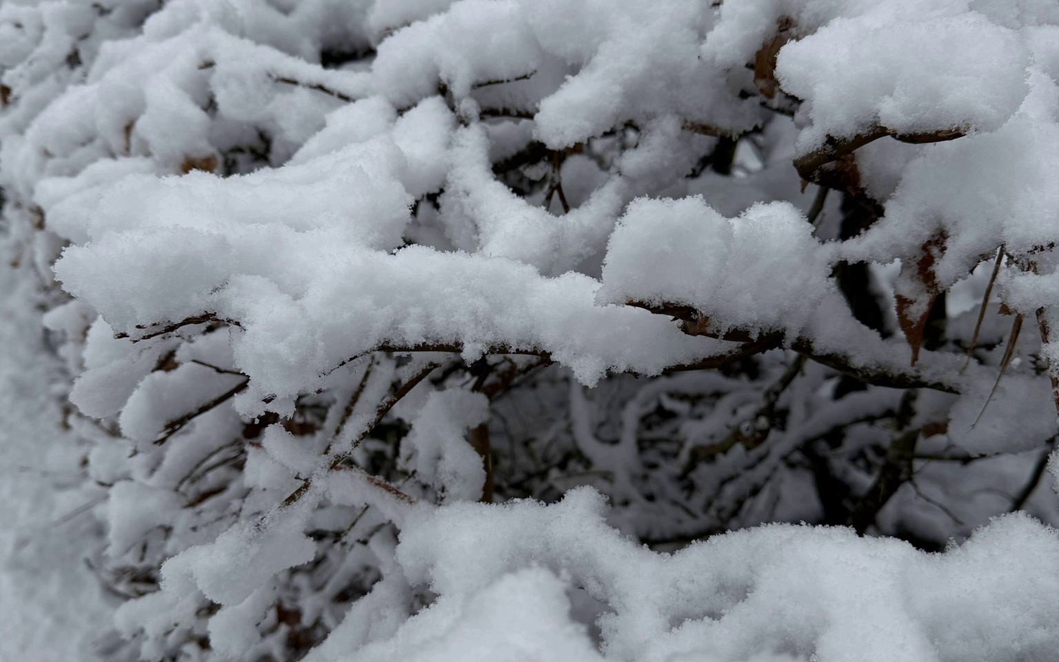 Toernooi en Nieuwjaarsreceptie afgelast